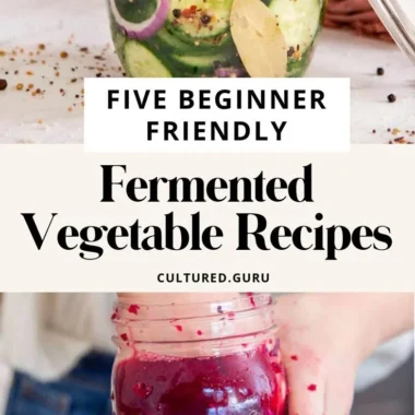 Easy fermented vegetable recipes for beginners featuring colorful jars of pickled veggies.