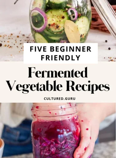 Easy fermented vegetable recipes for beginners featuring colorful jars of pickled veggies.