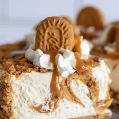 Delicious Cookie Butter No Bake Cheesecake topped with whipped cream and cookie crumbles