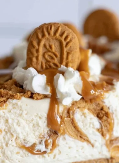 Delicious Cookie Butter No Bake Cheesecake topped with whipped cream and cookie crumbles