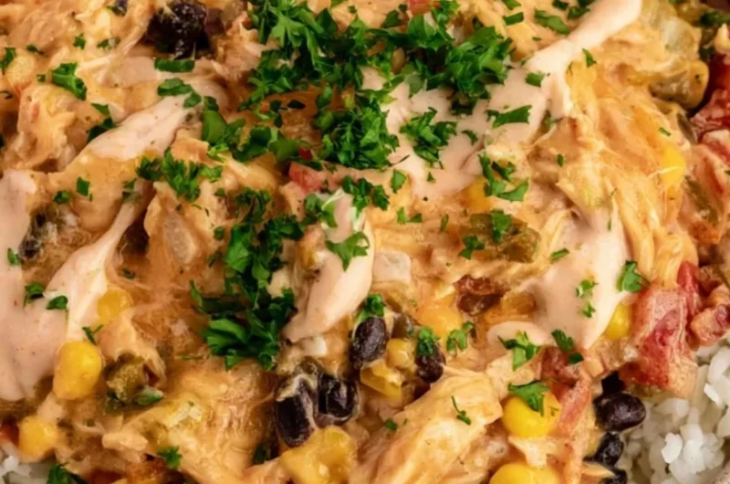 A vibrant plate of Fiesta Chicken garnished with fresh vegetables and spices.